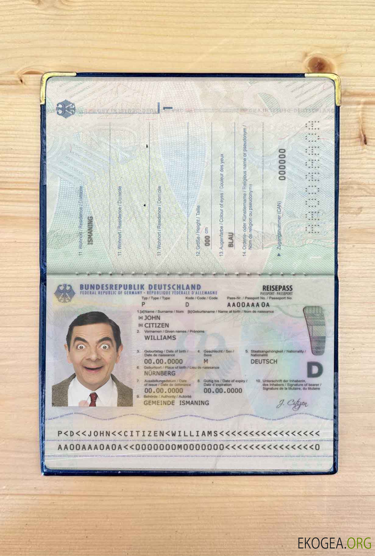 Look photo du passeport allemand (2017 présent)